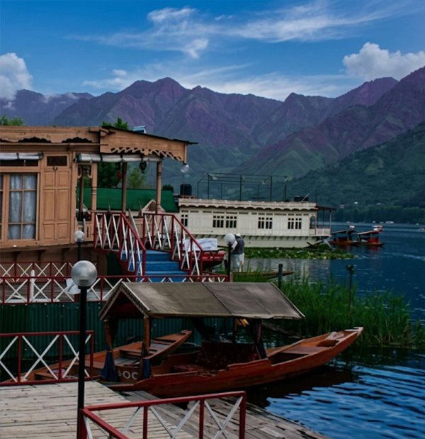 kashmir